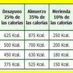 ¿Cuántas calorías debo consumir al día?