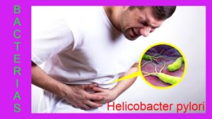 Bacterias en el estómago – se conoce como HELICOBACTER PYLORI Las bacterias en el estómago hay que detectarlas a tiempo y saber que tipo de